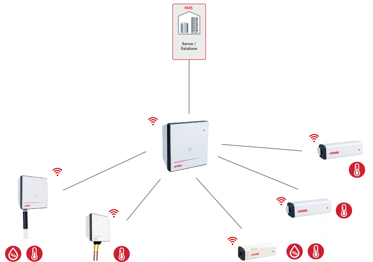 Introduction into the RF System of the RMS Rotronic